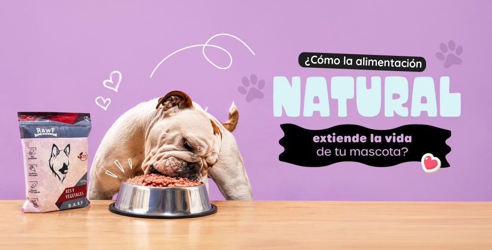 Longevidad en las mascotas