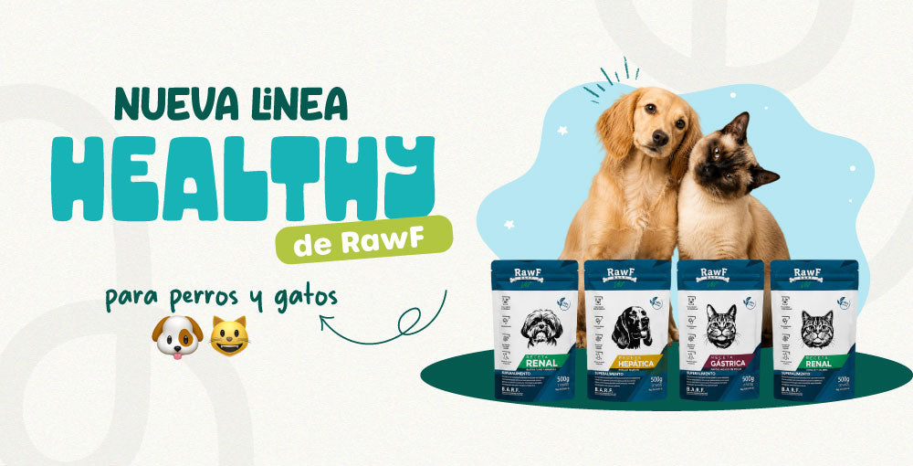 Conoce la nueva Línea HEALTHY de RawF Nutrición natural para perros con necesidades especiales.