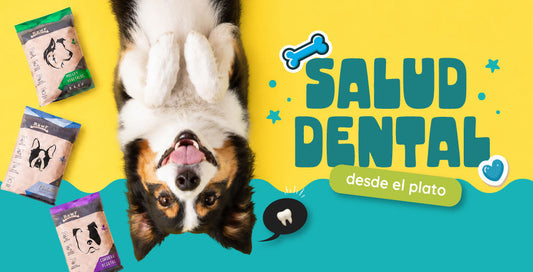 ¿Cómo la alimentación B.A.R.F. cuida la salud dental de tu perro de forma natural?