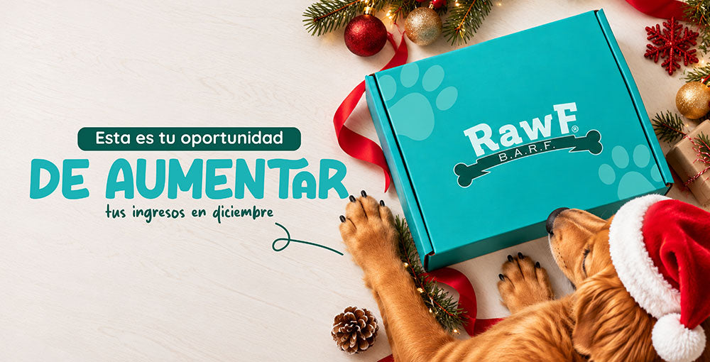 ¿Por qué incluir Cenas Navideñas naturales en tu pet shop o veterinaria?