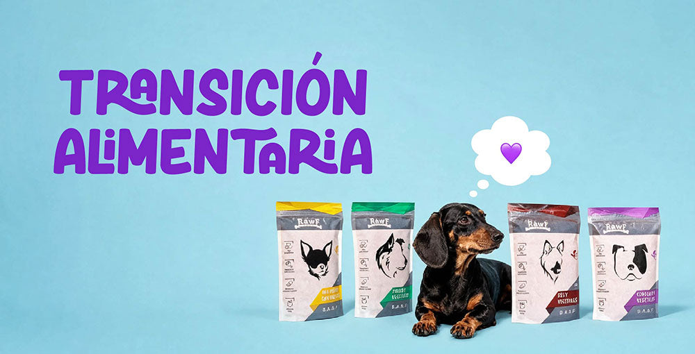 Transición alimentaria